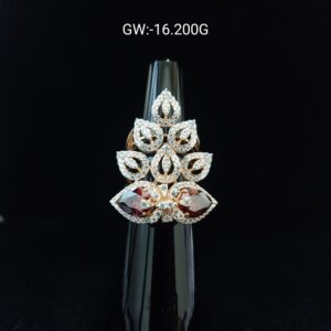 WhatsApp Image 2024-06-27 at 2.05.02 PM